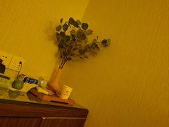 -禧瑞 ·丝浴主题·水疗·spa(中山公园店)
