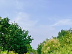 -渭河城市绿地运动公园