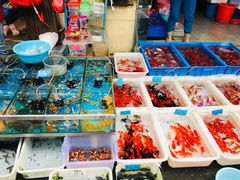 -清平路水族市场