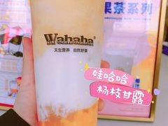 -娃哈哈·奶茶(武林店)