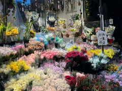 -循礼门鲜花花市(武汉循礼门店)