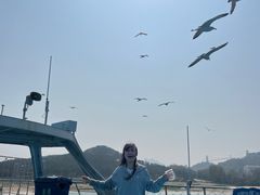 -海驴岛(荣成市)