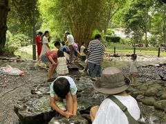 -成都市活水公园