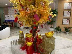 -重庆联合丽格第五医疗美容医院