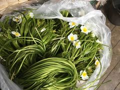 -南门绿玉农贸市场