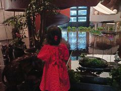 -鱼翅楼·津派砂锅鱼翅(水上公园店)