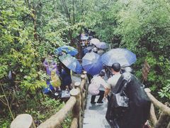 -修水东浒寨风景区