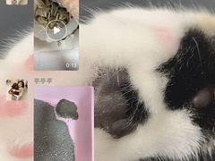 -全心全意连锁动物医院(加州店)