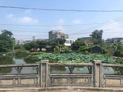 -扬美古镇景区
