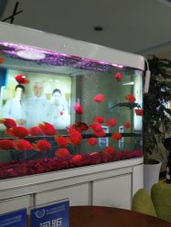 -成都军建医院·疤痕诊疗中心