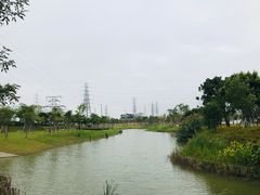 -王借岗森林公园