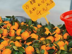 -海吉星市场