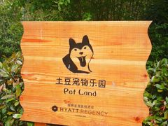 -上海崇明金茂凯悦酒店