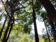 -大雁山风景区