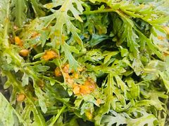 凉拌蓬蒿菜-930私房菜(欧阳路店)