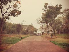 -盘龙城国家考古遗址公园