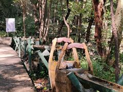 -老君洞旅游度假区