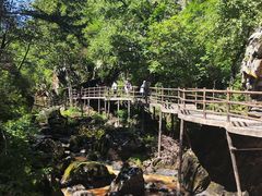 -茅兰沟国家森林公园