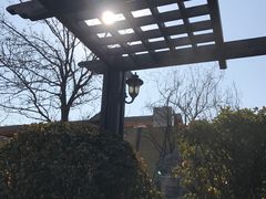 -仁爱团泊湖温泉中心