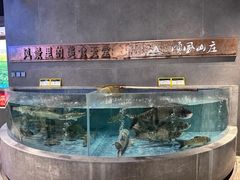 -顺风山庄(水濂山店)