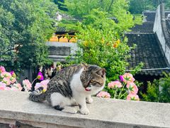 -惠山古镇·寄畅园