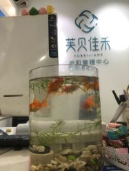 -芙贝佳禾·痘肌管理中心