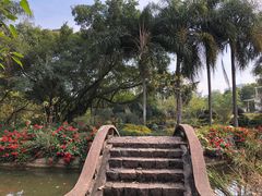 -广西壮族自治区药用植物园