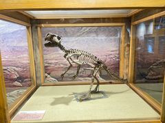 -国家自然博物馆