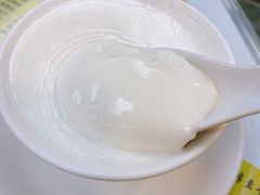 蛋白炖鲜牛奶-澳洲牛奶公司(佐敦店)