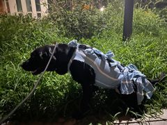 -北京赛佳动物医院