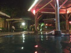 -雅安楠水阁温泉酒店