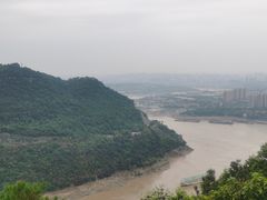 -铁山坪森林公园