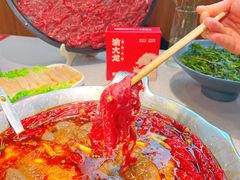 -渝大龙重庆火锅(温泉月亮湾店)