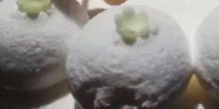 -海底捞火锅(亲贤北街店)