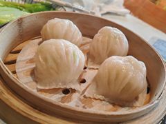 -南海渔村(珠江新城店)