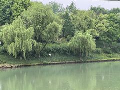 -中国湿地博物馆