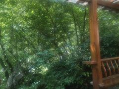 -青峰峡国家森林公园