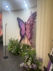 -苏州奥拉克美容医院