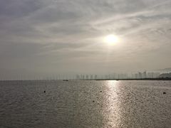 -北岐滩涂
