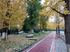 -四川大学(江安校区)