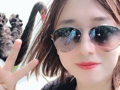 -长兴太湖图影湿地文化园