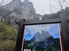 -鹿院坪生态旅游景区