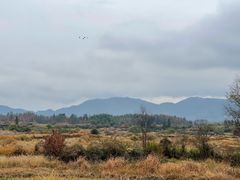 -黟县屏山村