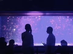 -厦门海底世界