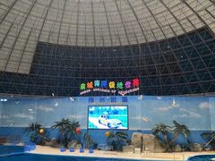 -泉城欧乐堡海洋极地世界