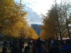 -辽宁大学(崇山校区)