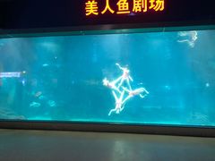 -福州罗源湾海洋世界旅游区