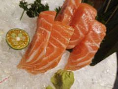 三文鱼刺身-九州酒场ひこぞう(2号店)