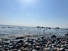 -银沙滩浴场