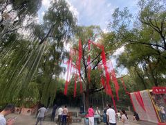 -淄博聊斋城景区